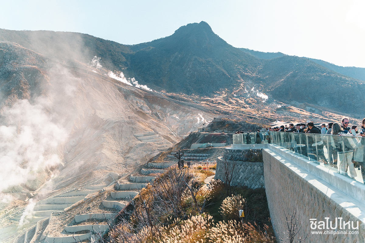 เที่ยวญี่ปุ่นกับทัวร์ 5 วัน 3 คืน เที่ยวโตเกียว ฟูจิ คามาคูระ ฮาโกเน่ ชมใบไม้แดง