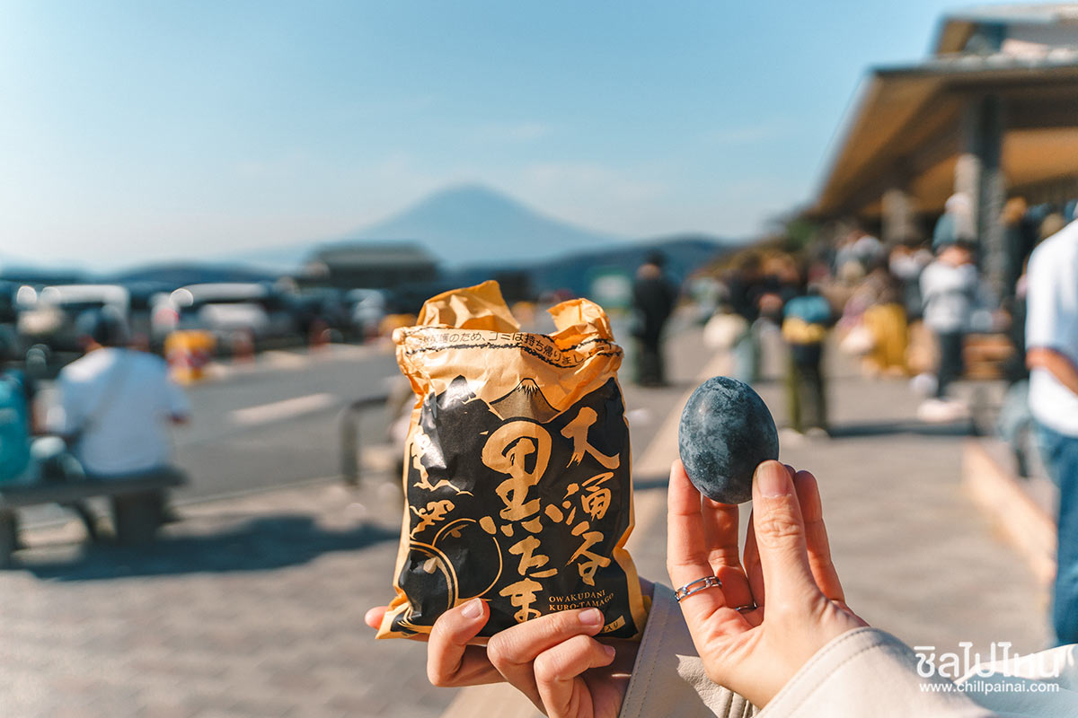 เที่ยวญี่ปุ่นกับทัวร์ 5 วัน 3 คืน เที่ยวโตเกียว ฟูจิ คามาคูระ ฮาโกเน่ ชมใบไม้แดง