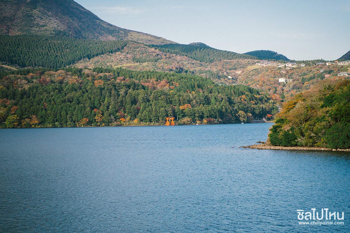 เที่ยวญี่ปุ่นกับทัวร์ 5 วัน 3 คืน เที่ยวโตเกียว ฟูจิ คามาคูระ ฮาโกเน่ ชมใบไม้แดง