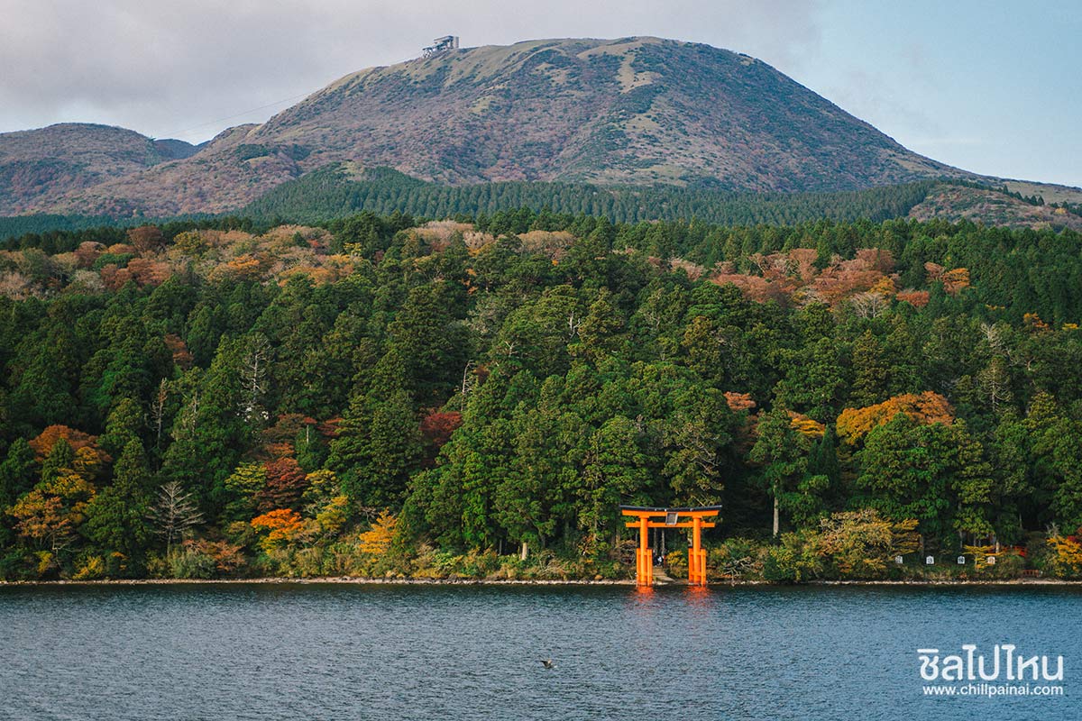 เที่ยวญี่ปุ่นกับทัวร์ 5 วัน 3 คืน เที่ยวโตเกียว ฟูจิ คามาคูระ ฮาโกเน่ ชมใบไม้แดง