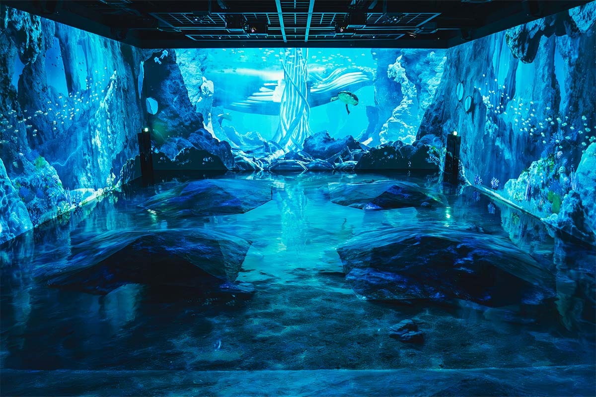 250715_PADO_0248-(1)