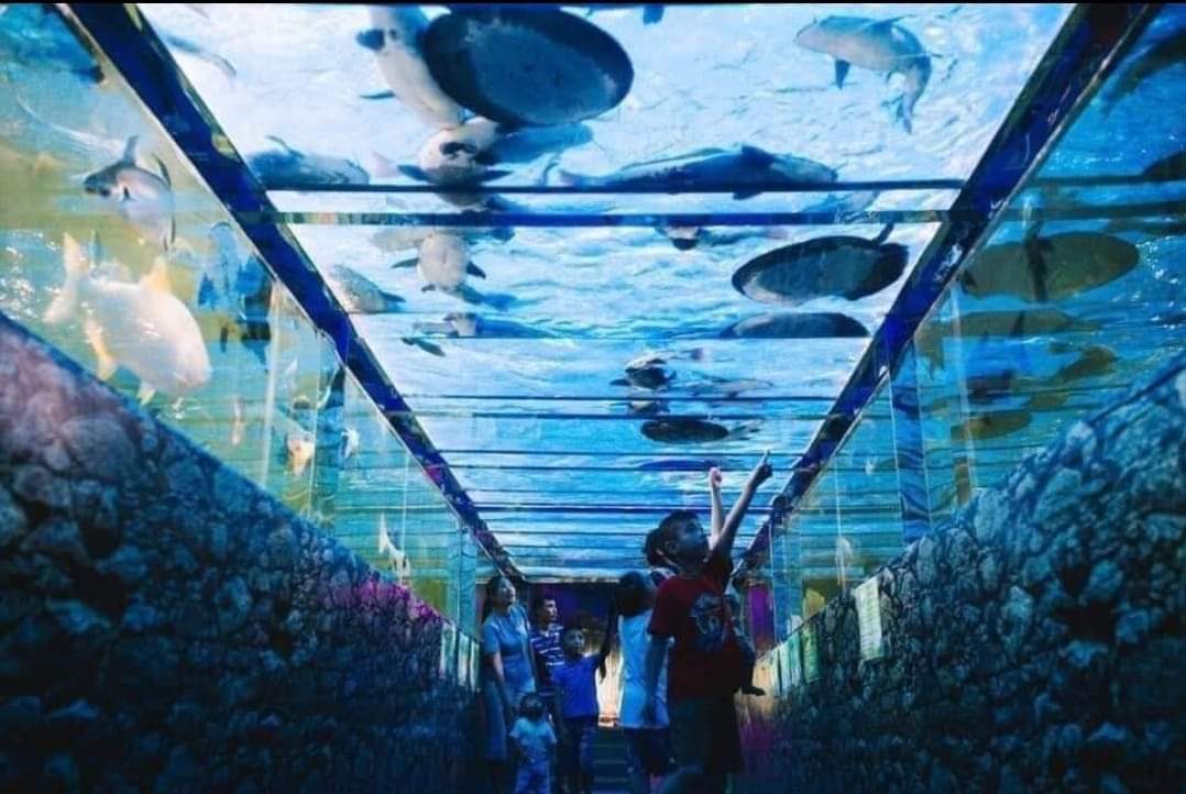 589723749_1568854937868635_2430045070882254651_n