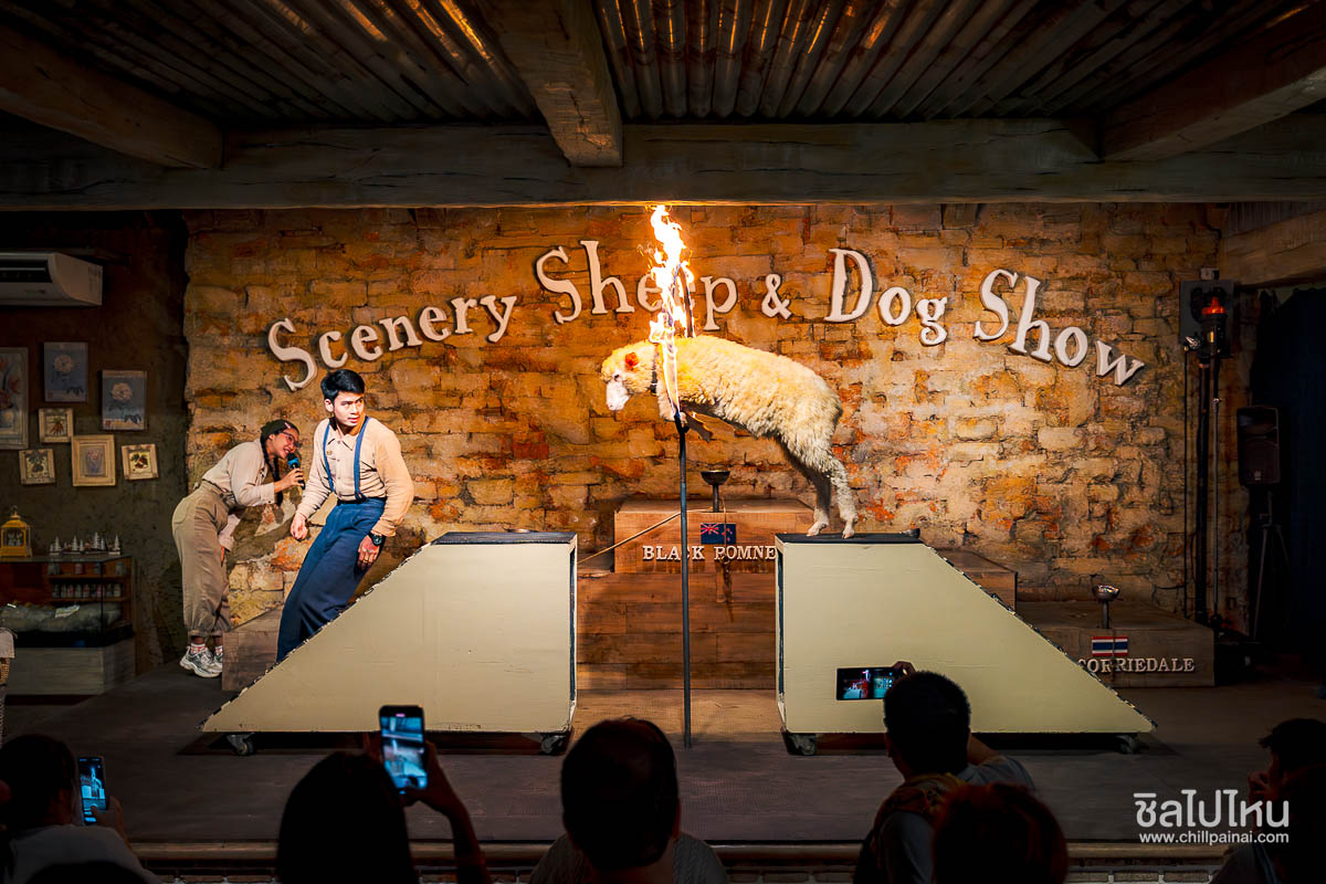 The_Scenery_Vintage_Farm_1-1