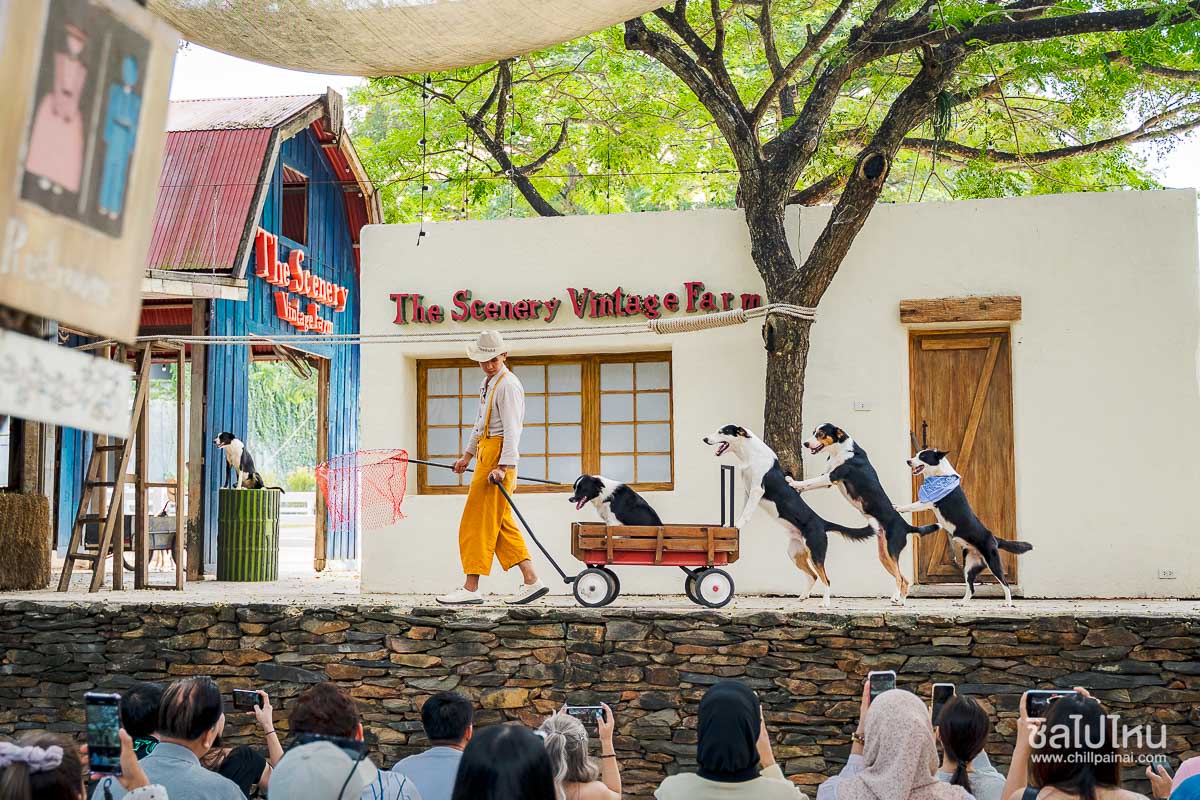 The_Scenery_Vintage_Farm_66