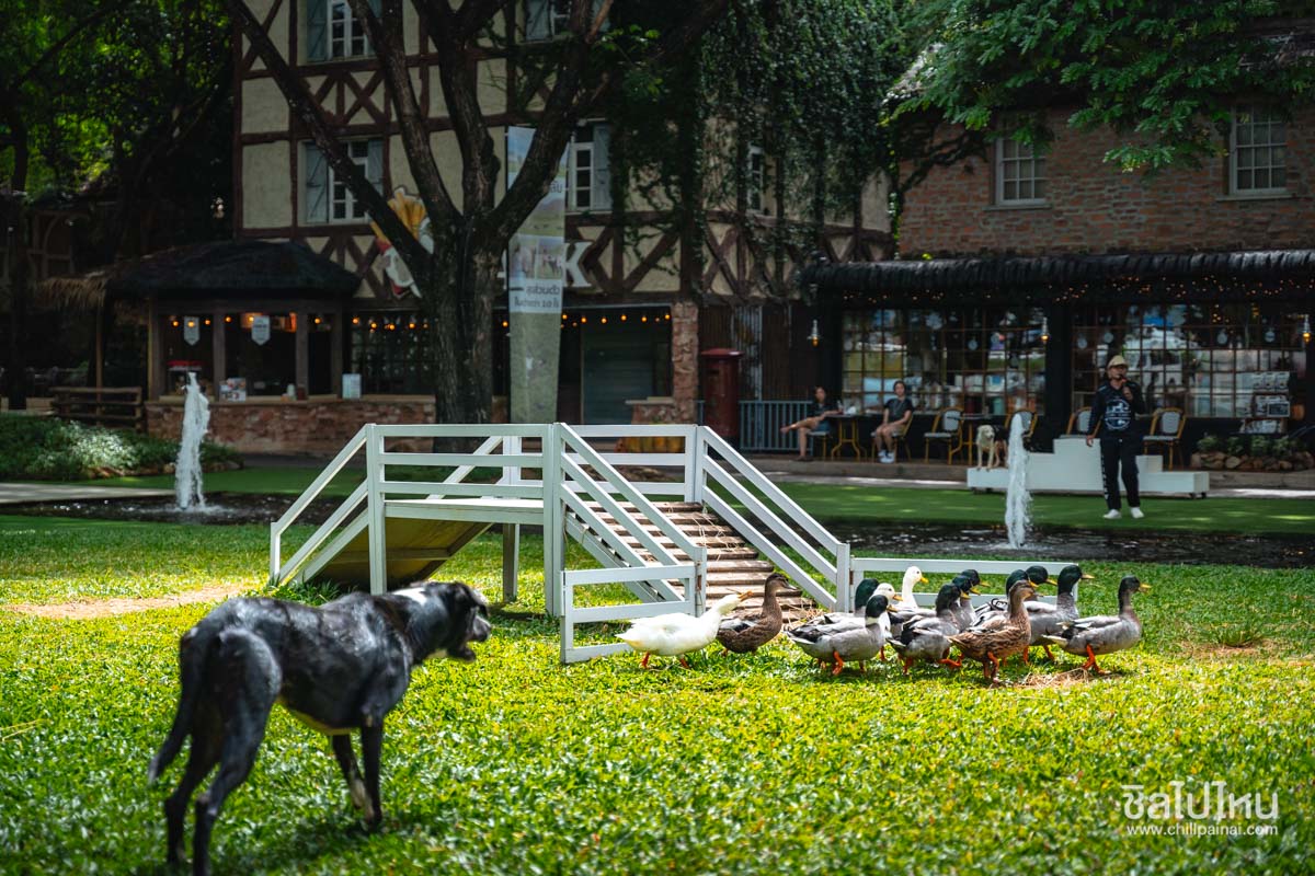 The_Scenery_Vintage_Farm_77