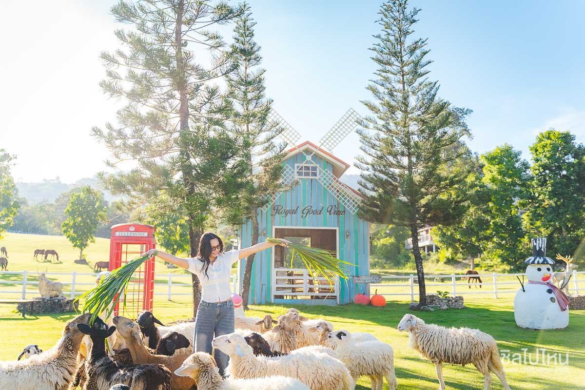 Royal_Good_View_Resort_43