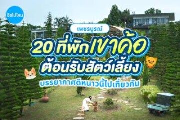20 ที่พักเขาค้อ เพชรบูรณ์ ต้อนรับสัตว์เลี้ยง บรรยากาศดีหนาวนี้ไปเที่ยวกัน