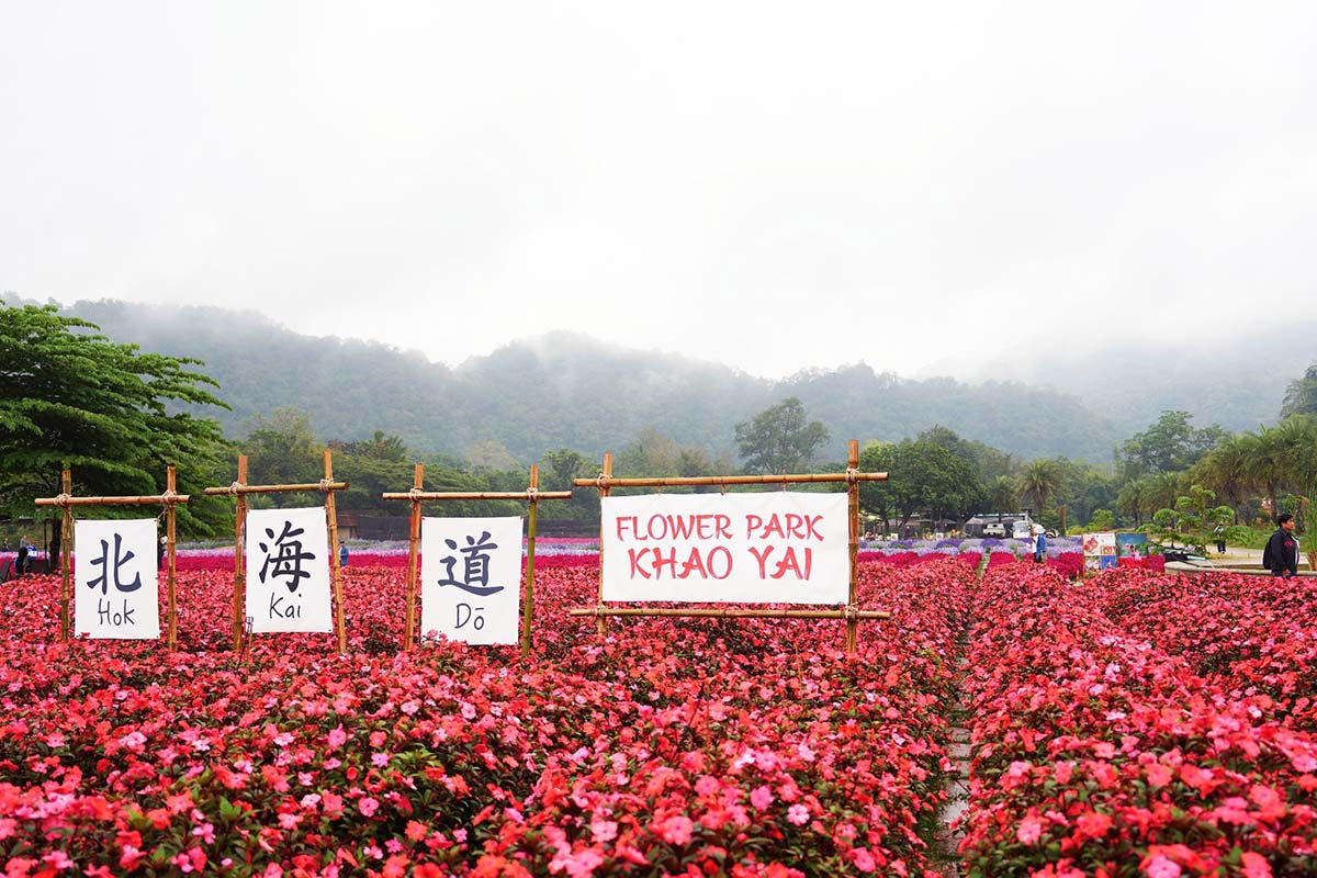 30 ที่เที่ยวเขาใหญ่ นครราชสีมา รวมที่เที่ยวฮิตและคาเฟ่ถ่ายรูปสวย อัปเดตใหม่ล่าสุดปี 2569