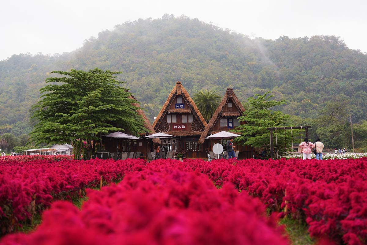30 ที่เที่ยวเขาใหญ่ นครราชสีมา รวมที่เที่ยวฮิตและคาเฟ่ถ่ายรูปสวย อัปเดตใหม่ล่าสุดปี 2569