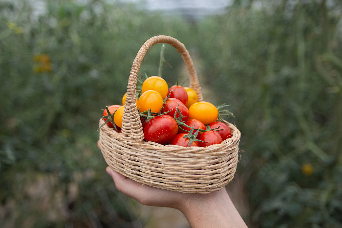 30 ที่เที่ยวเขาใหญ่ นครราชสีมา รวมที่เที่ยวฮิตและคาเฟ่ถ่ายรูปสวย อัปเดตใหม่ล่าสุดปี 2569