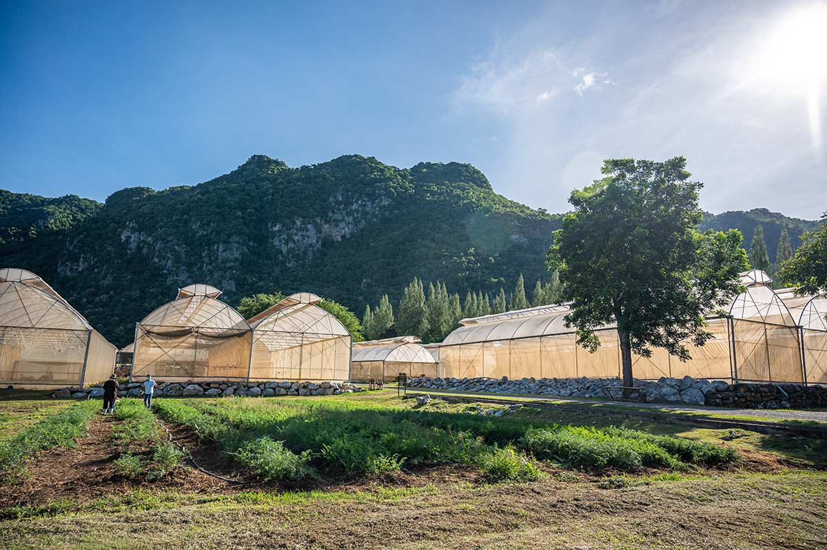 30 ที่เที่ยวเขาใหญ่ นครราชสีมา รวมที่เที่ยวฮิตและคาเฟ่ถ่ายรูปสวย อัปเดตใหม่ล่าสุดปี 2569