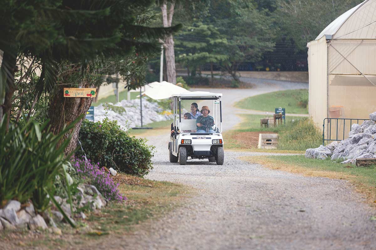 30 ที่เที่ยวเขาใหญ่ นครราชสีมา รวมที่เที่ยวฮิตและคาเฟ่ถ่ายรูปสวย อัปเดตใหม่ล่าสุดปี 2569