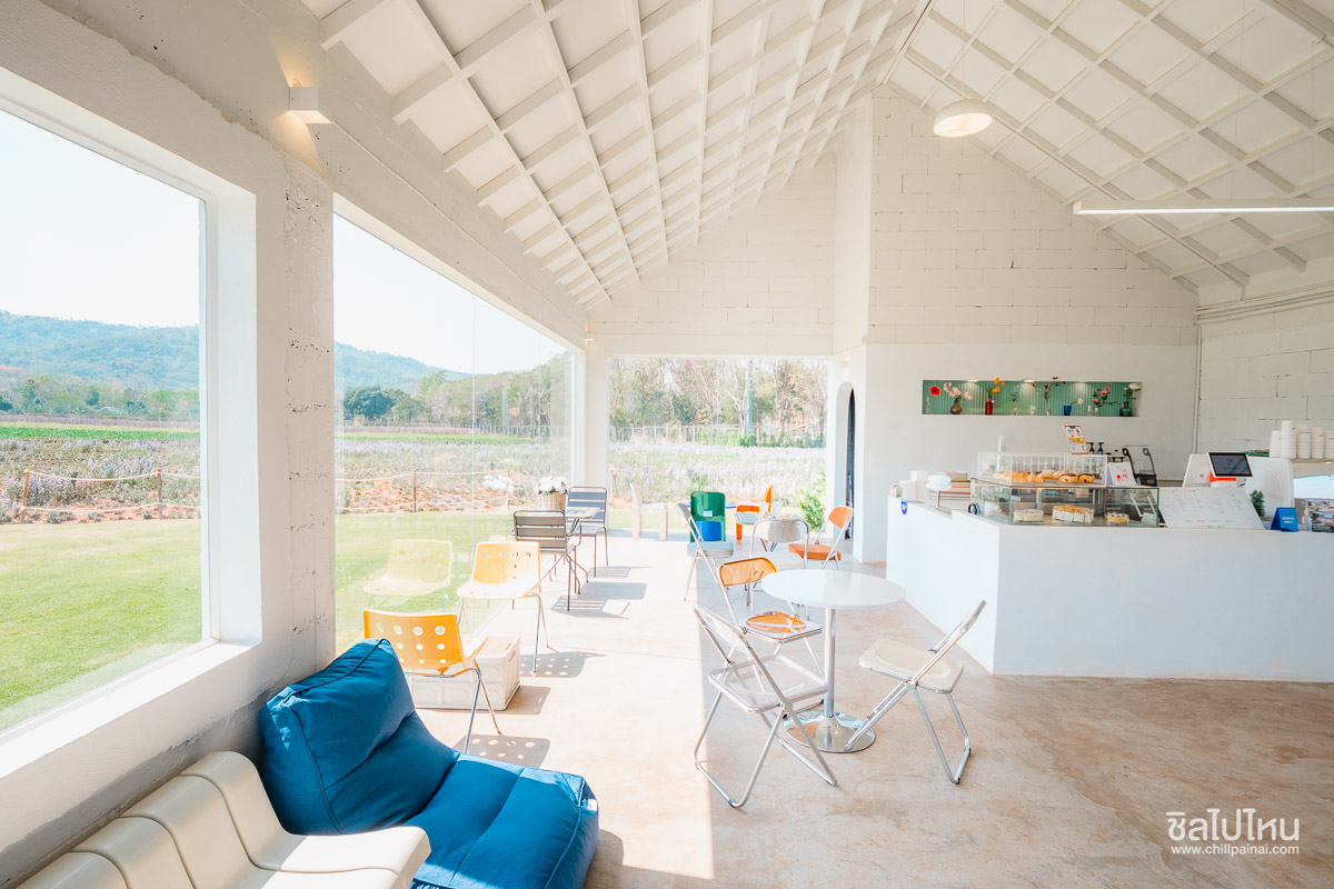 30 ที่เที่ยวเขาใหญ่ นครราชสีมา รวมที่เที่ยวฮิตและคาเฟ่ถ่ายรูปสวย อัปเดตใหม่ล่าสุดปี 2569