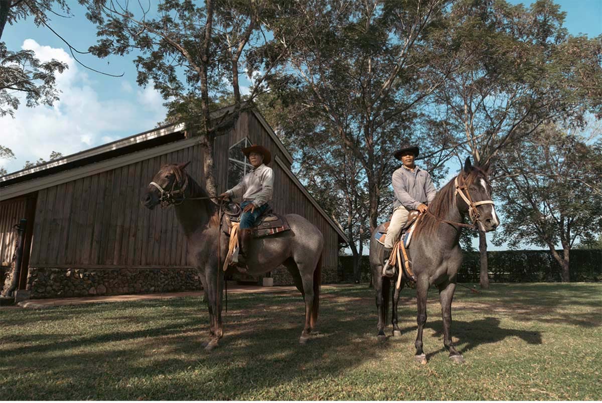 30 ที่เที่ยวเขาใหญ่ นครราชสีมา รวมที่เที่ยวฮิตและคาเฟ่ถ่ายรูปสวย อัปเดตใหม่ล่าสุดปี 2569