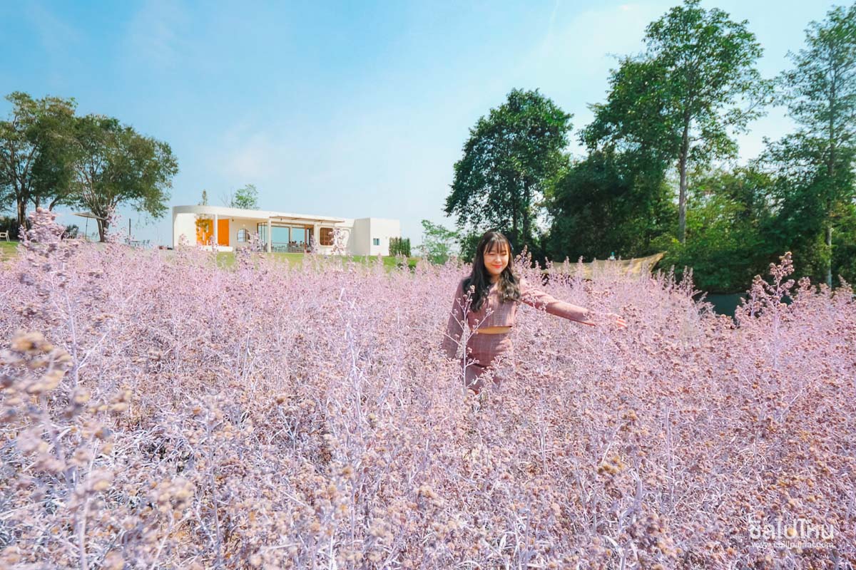 30 ที่เที่ยวเขาใหญ่ นครราชสีมา รวมที่เที่ยวฮิตและคาเฟ่ถ่ายรูปสวย อัปเดตใหม่ล่าสุดปี 2569