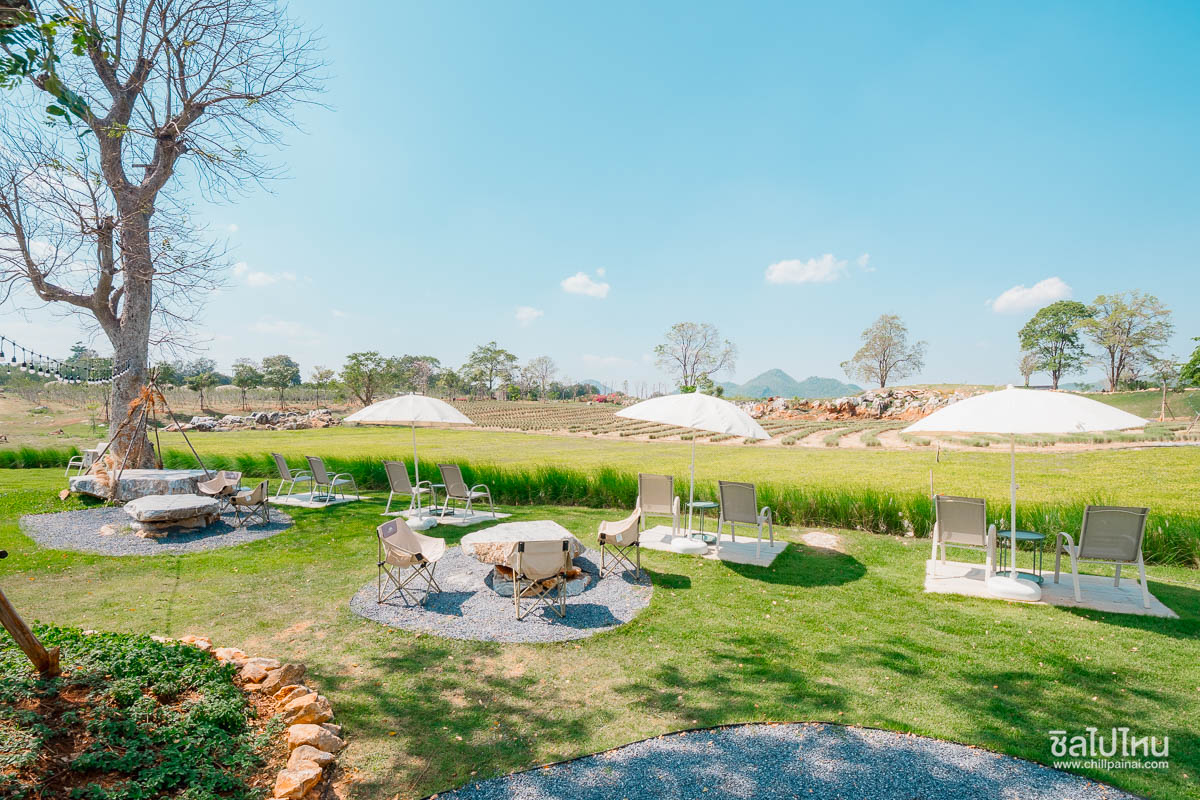 30 ที่เที่ยวเขาใหญ่ นครราชสีมา รวมที่เที่ยวฮิตและคาเฟ่ถ่ายรูปสวย อัปเดตใหม่ล่าสุดปี 2569