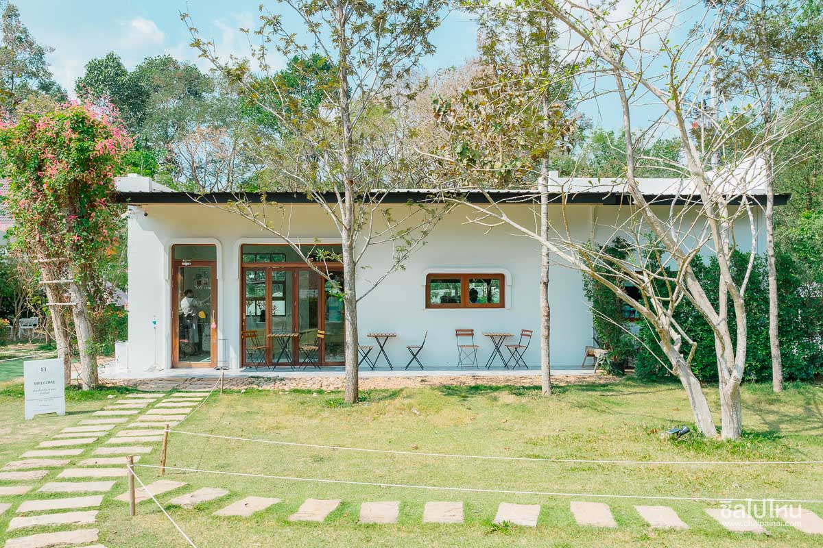 30 ที่เที่ยวเขาใหญ่ นครราชสีมา รวมที่เที่ยวฮิตและคาเฟ่ถ่ายรูปสวย อัปเดตใหม่ล่าสุดปี 2569