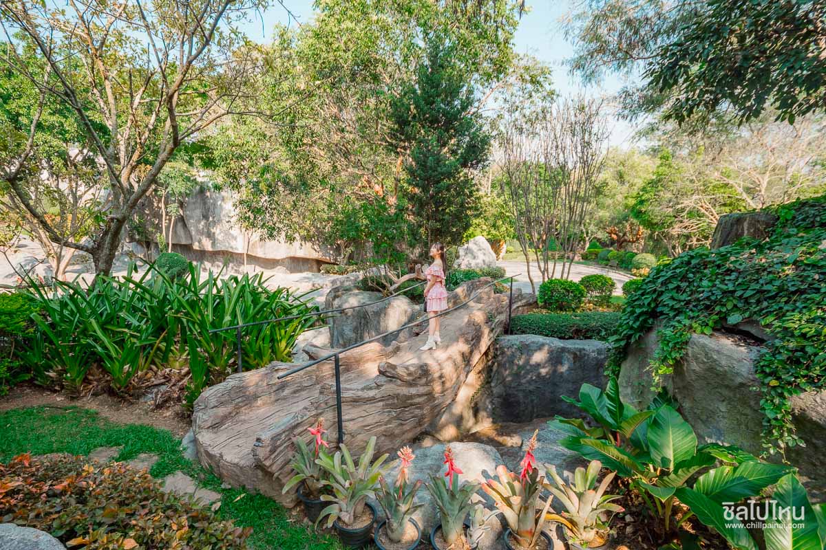 30 ที่เที่ยวเขาใหญ่ นครราชสีมา รวมที่เที่ยวฮิตและคาเฟ่ถ่ายรูปสวย อัปเดตใหม่ล่าสุดปี 2569