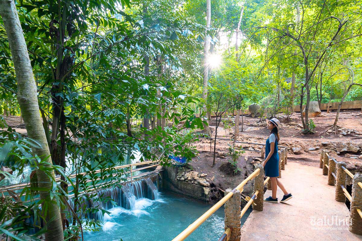 30 ที่เที่ยวเขาใหญ่ นครราชสีมา รวมที่เที่ยวฮิตและคาเฟ่ถ่ายรูปสวย อัปเดตใหม่ล่าสุดปี 2569