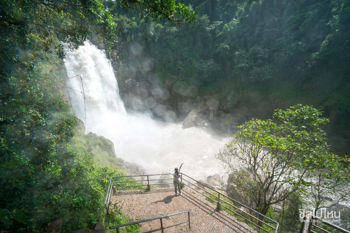 30 ที่เที่ยวเขาใหญ่ นครราชสีมา รวมที่เที่ยวฮิตและคาเฟ่ถ่ายรูปสวย อัปเดตใหม่ล่าสุดปี 2569