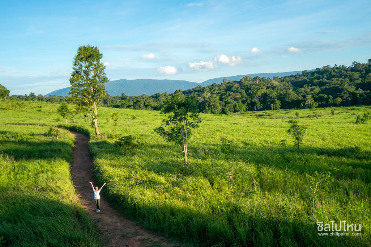 30 ที่เที่ยวเขาใหญ่ นครราชสีมา รวมที่เที่ยวฮิตและคาเฟ่ถ่ายรูปสวย อัปเดตใหม่ล่าสุดปี 2569