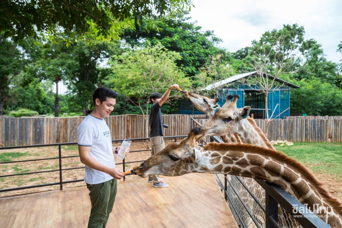 30 ที่เที่ยวเขาใหญ่ นครราชสีมา รวมที่เที่ยวฮิตและคาเฟ่ถ่ายรูปสวย อัปเดตใหม่ล่าสุดปี 2569