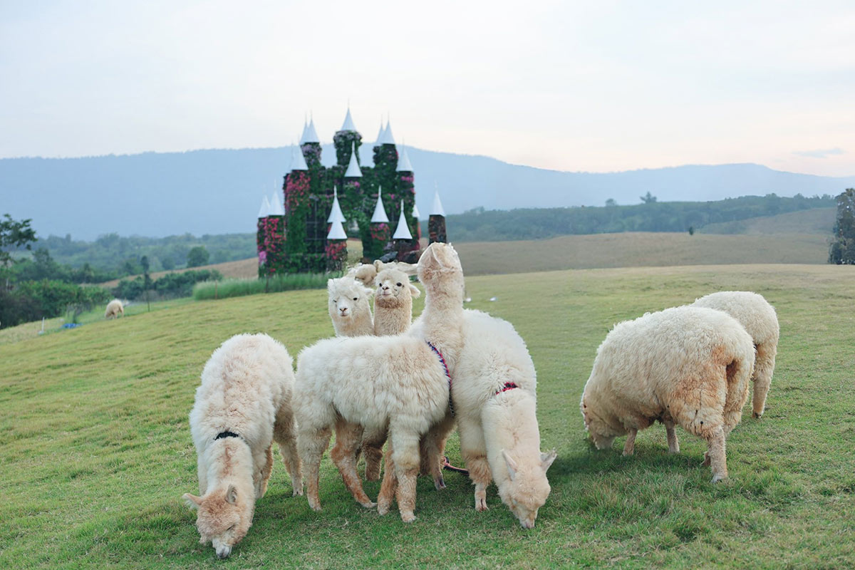 30 ที่เที่ยวเขาใหญ่ นครราชสีมา รวมที่เที่ยวฮิตและคาเฟ่ถ่ายรูปสวย อัปเดตใหม่ล่าสุดปี 2569