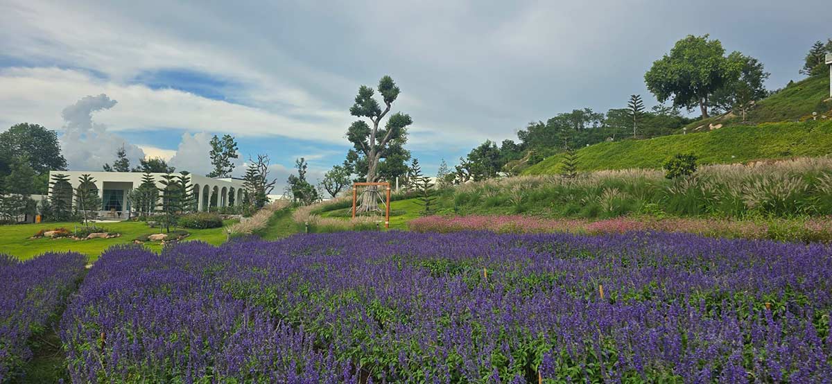 30 ที่เที่ยวเขาใหญ่ นครราชสีมา รวมที่เที่ยวฮิตและคาเฟ่ถ่ายรูปสวย อัปเดตใหม่ล่าสุดปี 2569