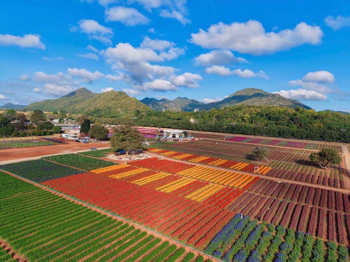 30 ที่เที่ยวเขาใหญ่ นครราชสีมา รวมที่เที่ยวฮิตและคาเฟ่ถ่ายรูปสวย อัปเดตใหม่ล่าสุดปี 2569