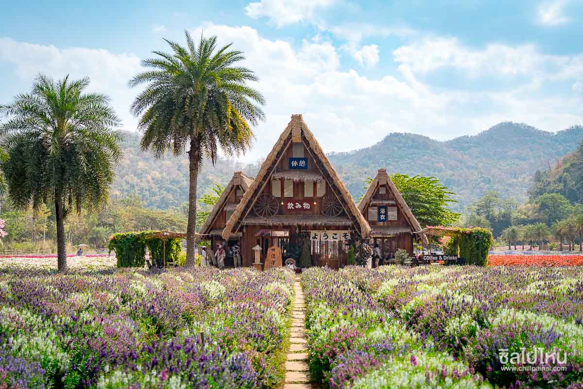 Hokkaido_Flower_Park_Khaoyai_22
