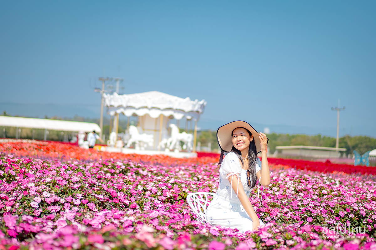 TakeMeHome_Park_Khaoyai_310