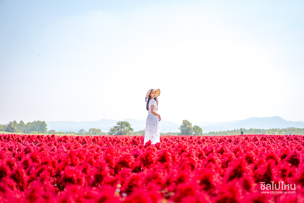 TakeMeHome_Park_Khaoyai_430