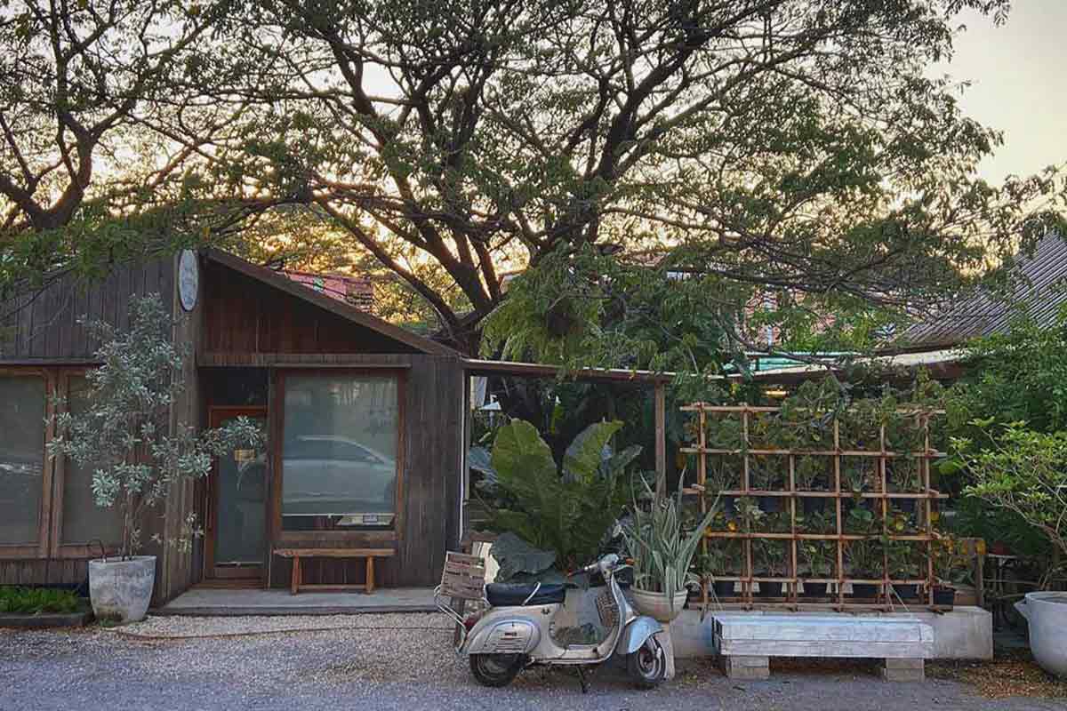 9th-September-Eat-Drink-Tree-Cafe2