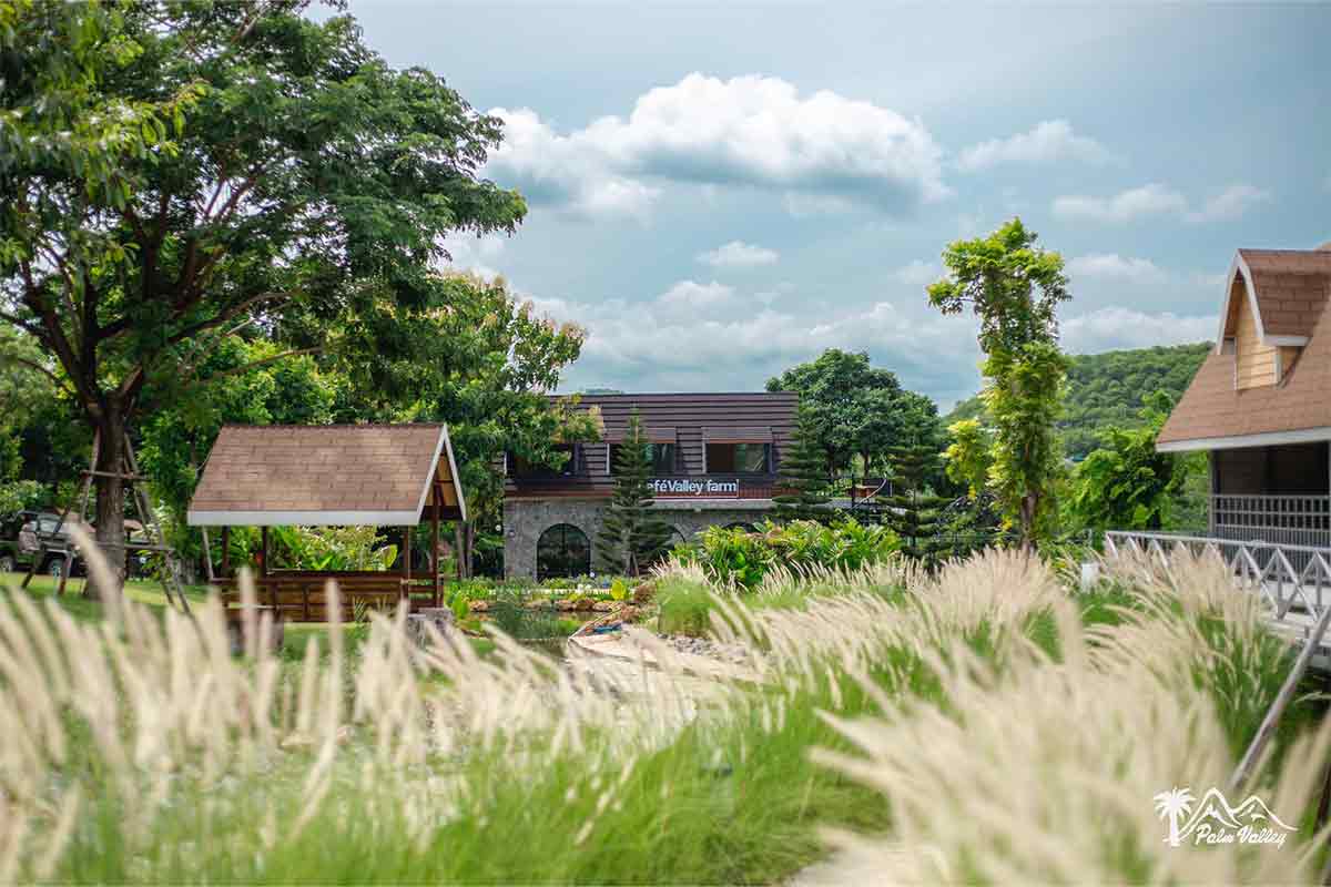 Palm-Valley-Cafe-Farm