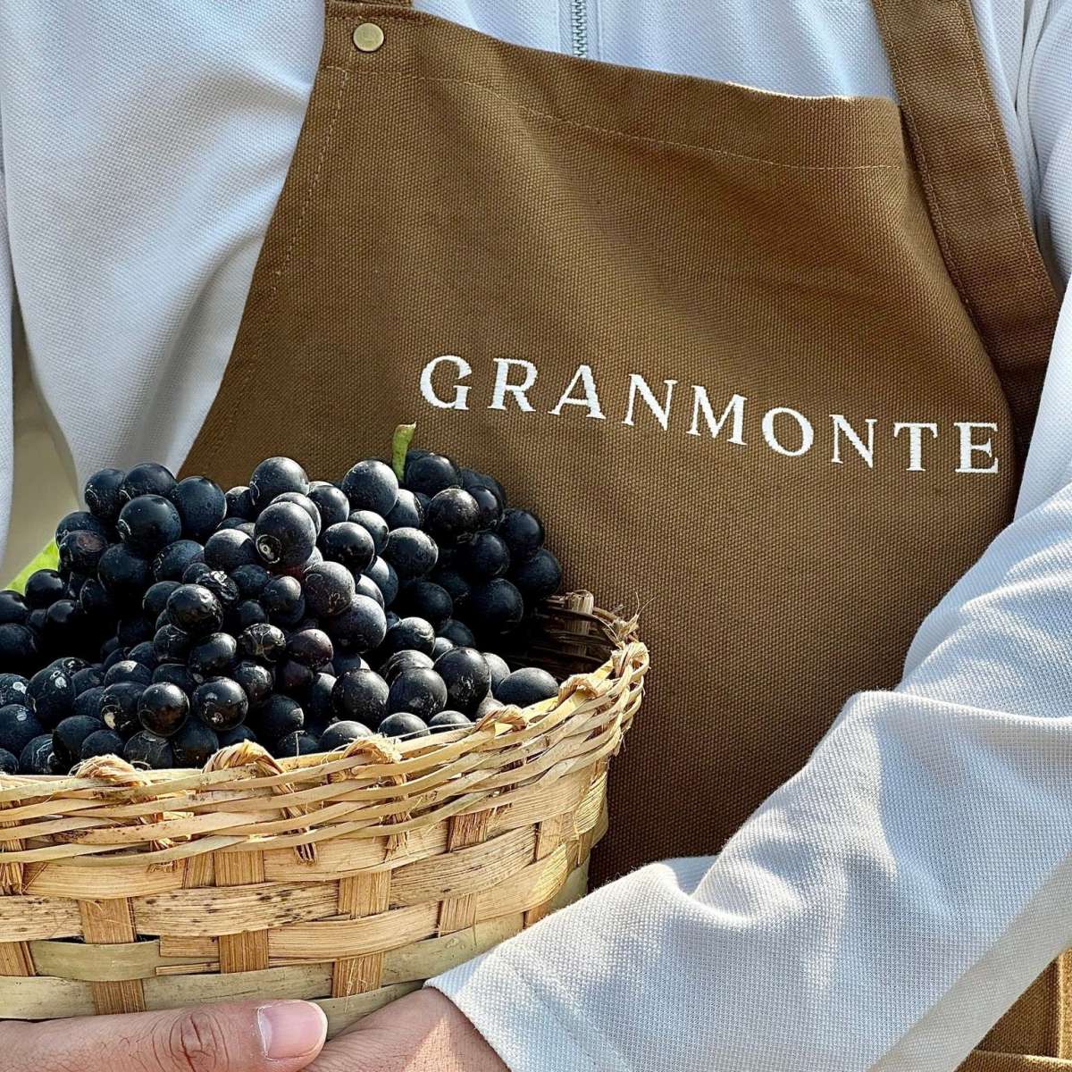 batch-425344329-789836283183223-2965589116651461587-n