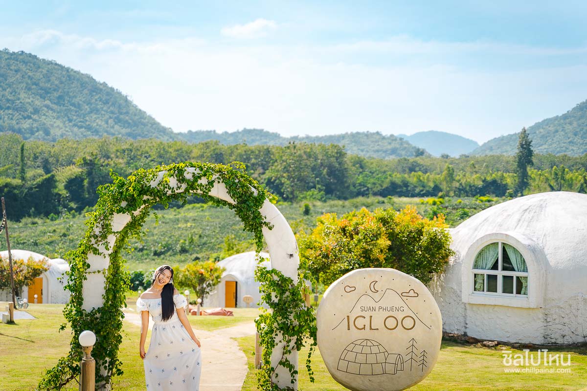 Suanphueng_IGLOO_33