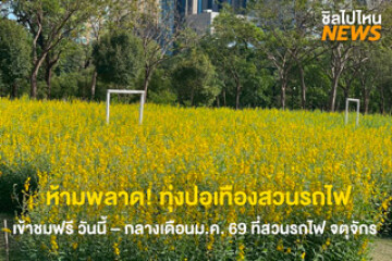 ทุ่งปอเทืองสวนรถไฟ จุดเช็คอินธรรมชาติกลางกรุง! ณ สวนรถไฟ เขตจตุจักร ตั้งแต่วันนี้ - กลางเดือนม.ค. 69