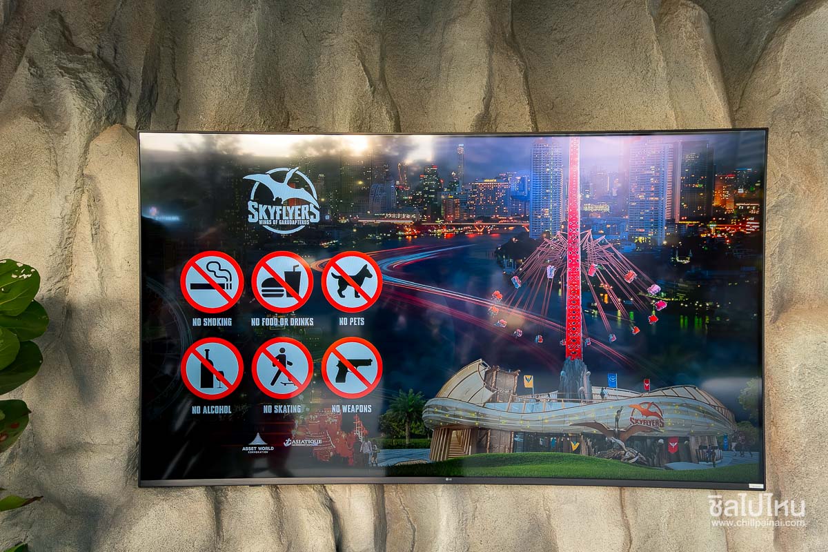 SkyFlyers_Asiatique_109