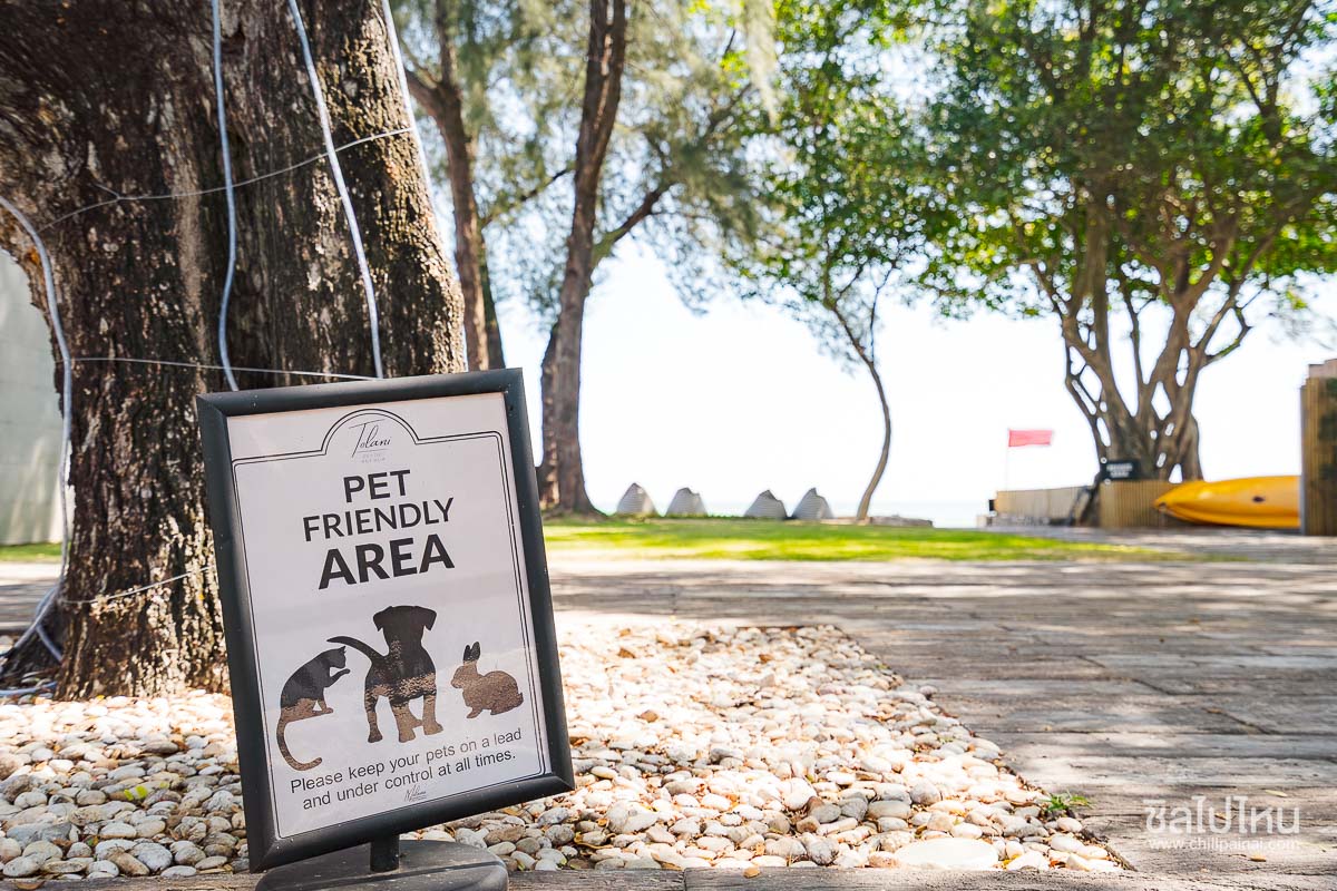 Tolani_Resort_Kuiburi_54