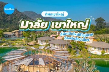 มาลัย เขาใหญ่(Malai Khaoyai) นครราชสีมา ที่พักเขาใหญ่เปิดใหม่ดีไซน์สวย บรรยากาศเป็นส่วนตัว พร้อมต้อนรับสัตว์เลี้ยง