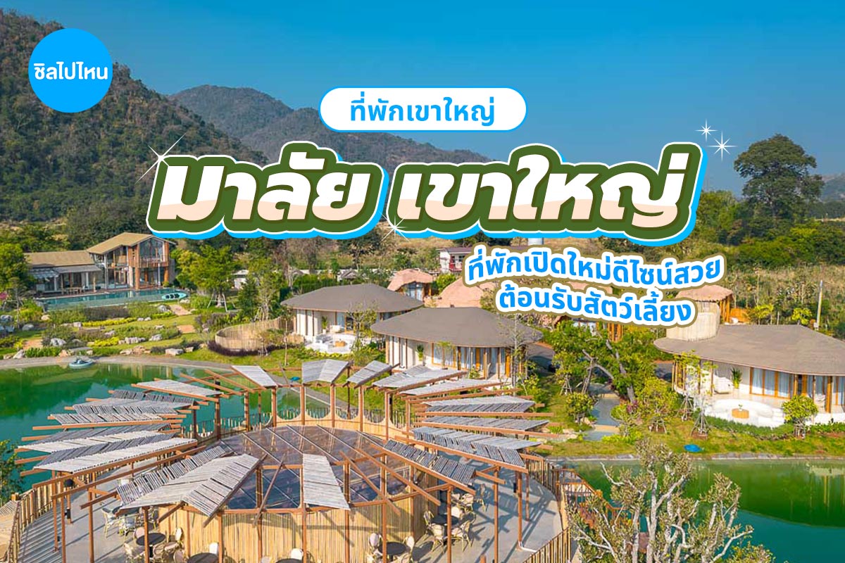 มาลัย เขาใหญ่(Malai Khaoyai ) ที่พักเขาใหญ่เปิดใหม่ดีไซน์สวย บรรยากาศเป็นส่วนตัว พร้อมต้อนรับสัตว์เลี้ยง