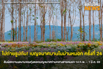 ไปถ่ายรูปกัน! ต้อนรับเทศกาลแห่งความรักกับเบญจมาศบานในม่านหมอก วันที่ 14 ก.พ.- 1 มี.ค. 69  ที่ อ.วังน้ำเขียว