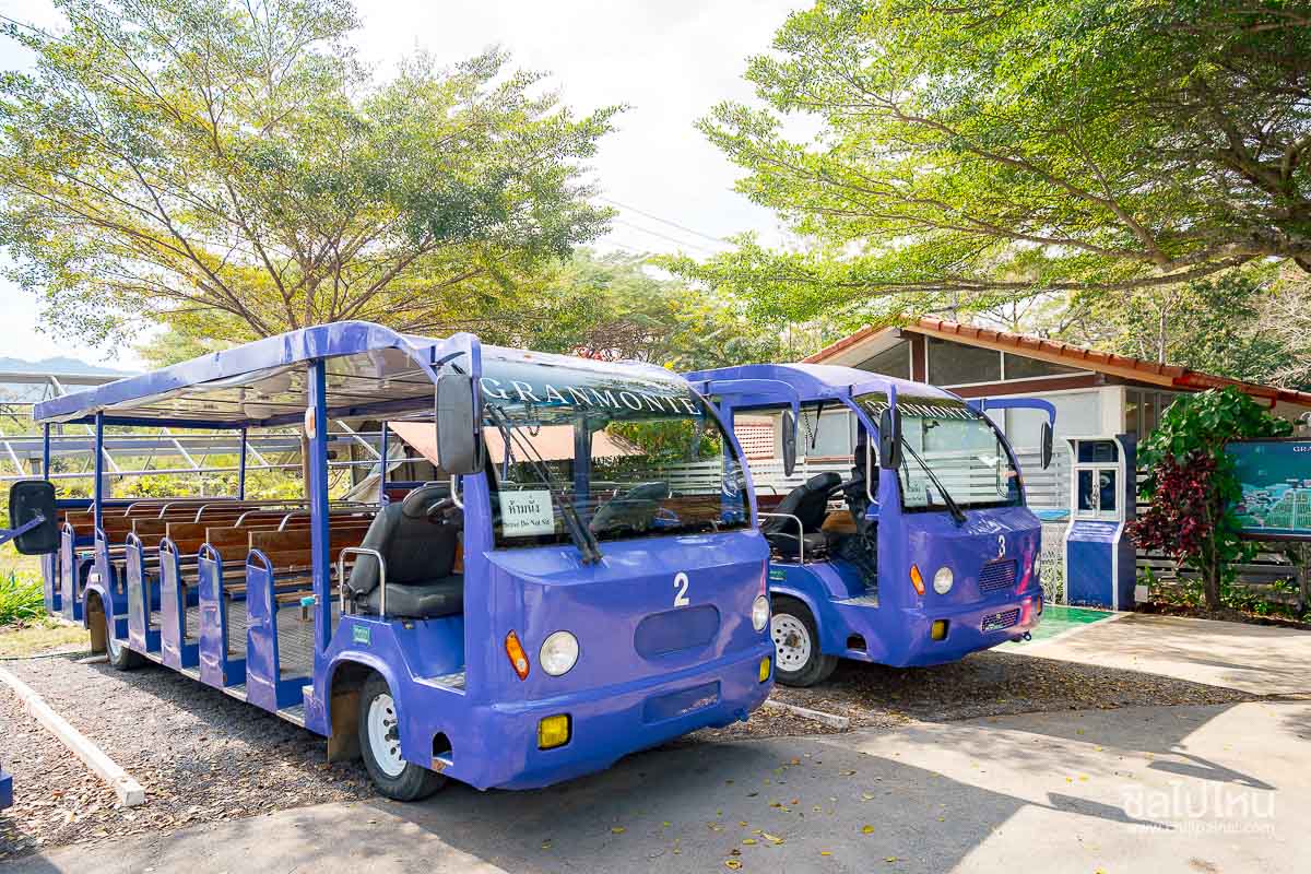 เที่ยวไร่องุ่น GranMonte Vineyard and Winery เขาใหญ่  เช็กอินไร่องุ่นสวยฟีลยุโรป