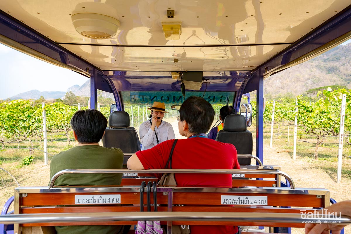 เที่ยวไร่องุ่น GranMonte Vineyard and Winery เขาใหญ่  เช็กอินไร่องุ่นสวยฟีลยุโรป