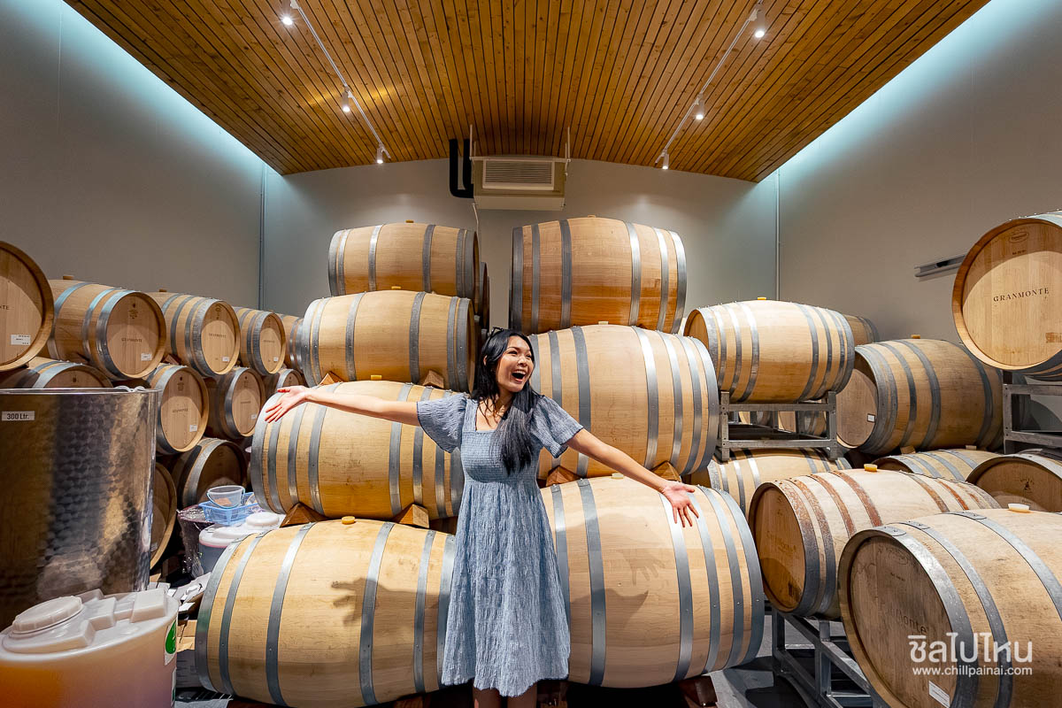 เที่ยวไร่องุ่น GranMonte Vineyard and Winery เขาใหญ่  เช็กอินไร่องุ่นสวยฟีลยุโรป