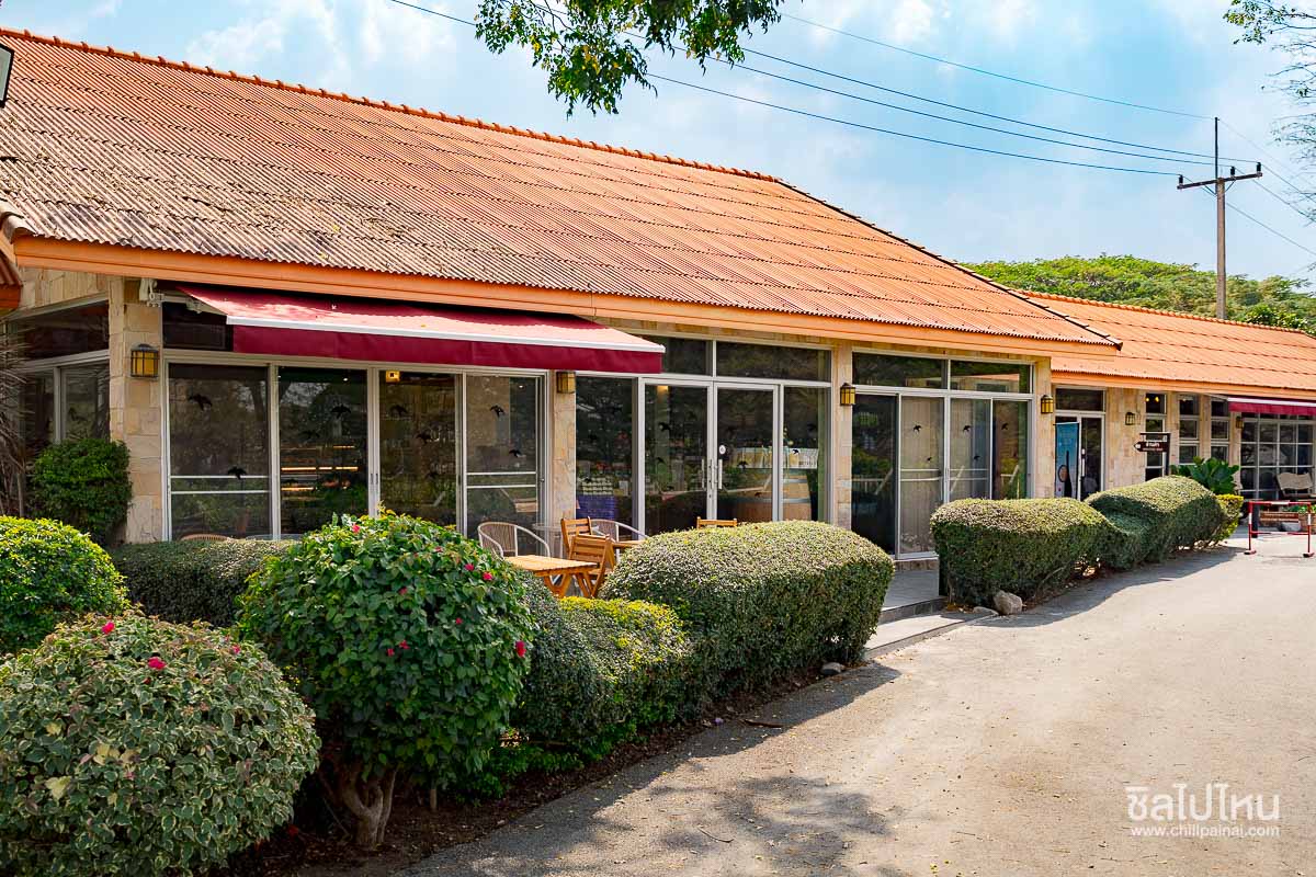 เที่ยวไร่องุ่น GranMonte Vineyard and Winery เขาใหญ่  เช็กอินไร่องุ่นสวยฟีลยุโรป