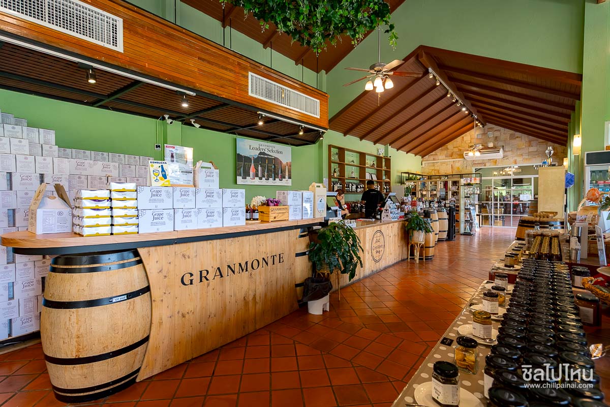 เที่ยวไร่องุ่น GranMonte Vineyard and Winery เขาใหญ่  เช็กอินไร่องุ่นสวยฟีลยุโรป