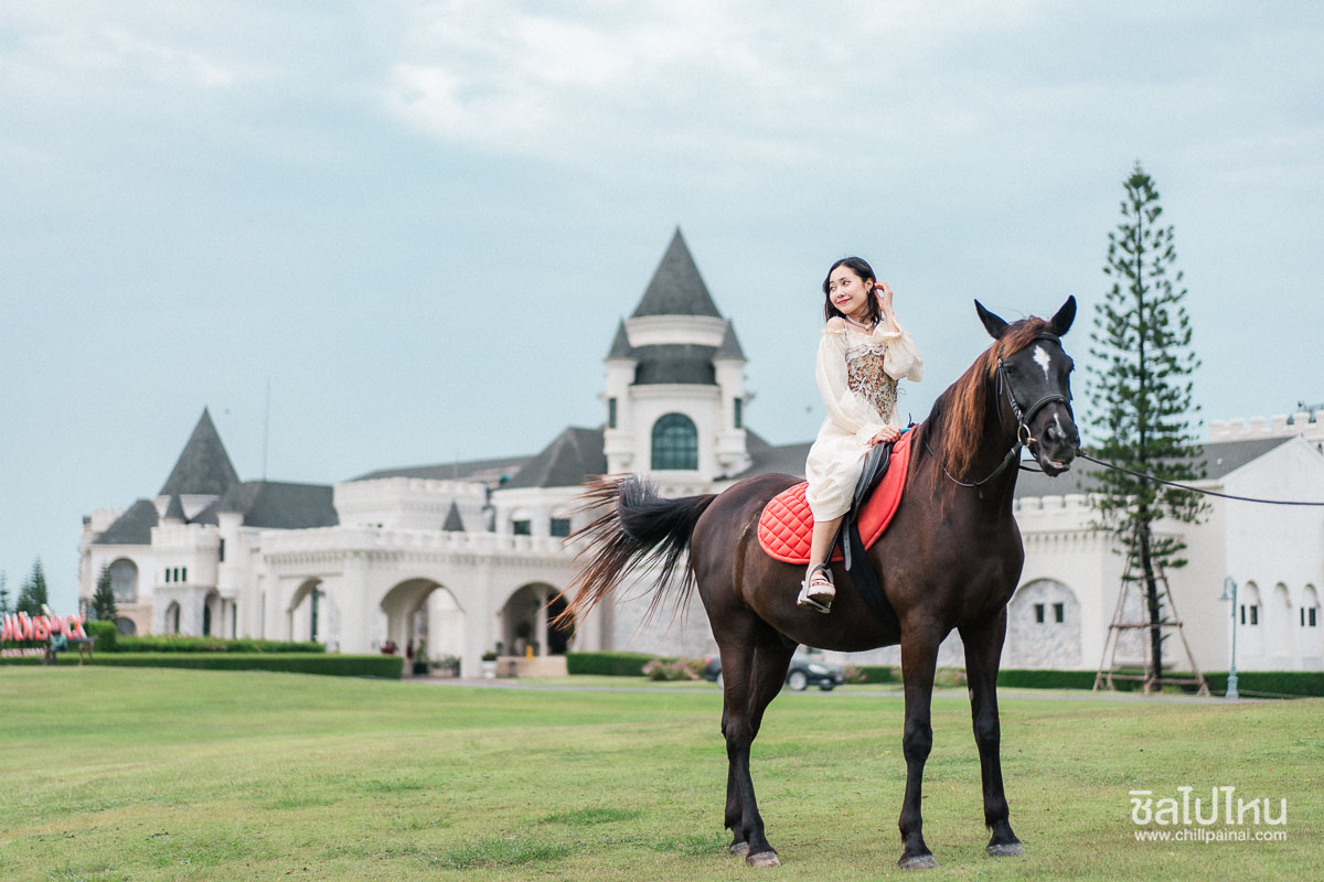 20 ที่พักเขาใหญ่ นครราชสีมา ต้อนรับสัตว์เลี้ยง หมา แมวพักได้ อัปเดตใหม่ 2569