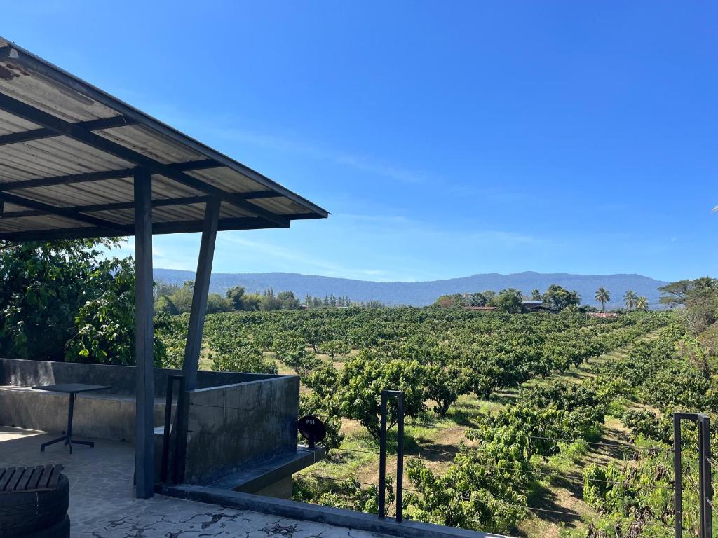 20 ที่พักเขาใหญ่ นครราชสีมา ต้อนรับสัตว์เลี้ยง หมา แมวพักได้ อัปเดตใหม่ 2569