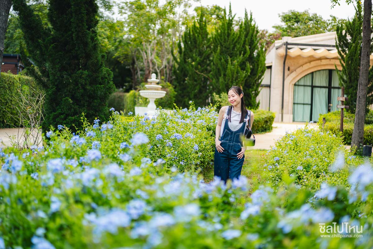 20 ที่พักเขาใหญ่ นครราชสีมา ต้อนรับสัตว์เลี้ยง หมา แมวพักได้ อัปเดตใหม่ 2569